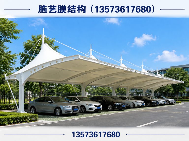 山东膜结构车棚展示图