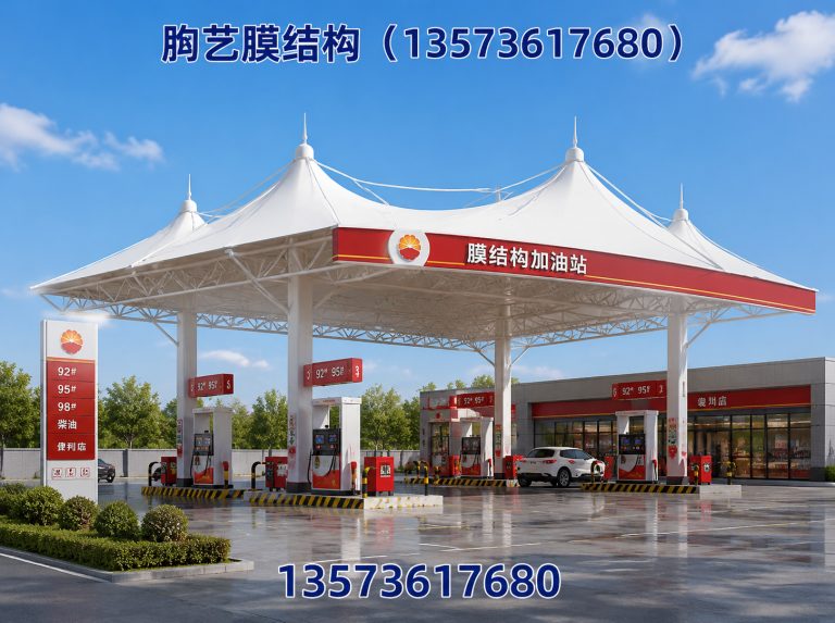 山东充电桩车棚展示图